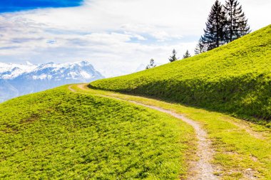 Yeşil çayırdan geçen dağ yürüyüş yolu