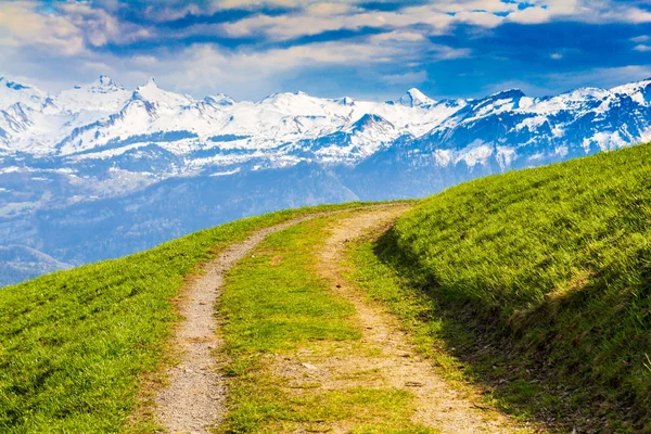 Mountain trekking path leading through green meadow