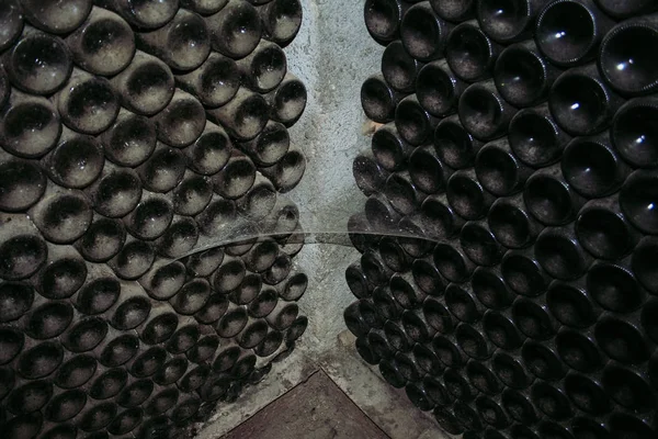 Garrafas de vinho velho que colocam na adega — Fotografia de Stock