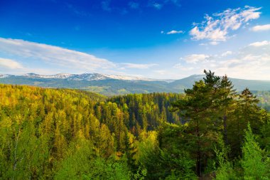 Dev Dağların doğal bahar manzarası - Karkonosze Mounatains, Polonya