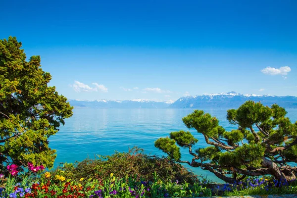 Vackra landskapet i Genèvesjön och bergen i Schweiz — Stockfoto