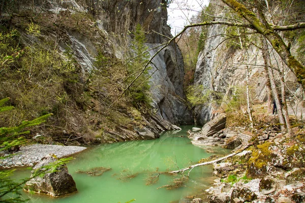Small forest waterfall in Gorges de la Jogne river canyon in Broc,  Switzerland Stock Photo