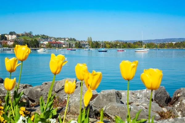 Zeilboten in haven van Lausanne aan het meer van Genève — Stockfoto