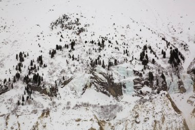 Fransız Alsp Mont Blanc masif altında Mer de Glace vadi