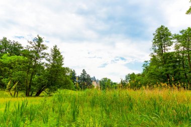 Goluchow park ve kale binası, Polonya