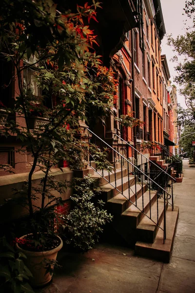 Greenwich Village District rua com plantas naturais fora de edifícios — Fotografia de Stock