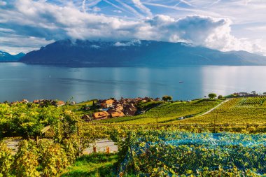 Lavaux, İsviçre: Küçük bir kasaba, Geneva Gölü ve Vaud Kantonu 'ndaki Lavaux üzüm bağlarından görülen İsviçre Alpleri manzarası