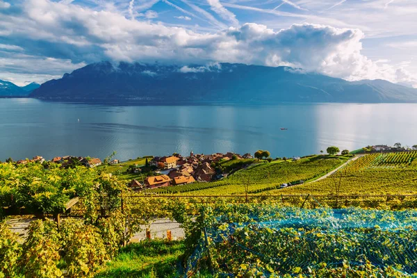 Lavaux, Zwitserland: Kleine stad, Meer van Genève en het Zwitserse Alpen landschap vanaf Lavaux wijngaard tarraces in Kanton Vaud Rechtenvrije Stockfoto's