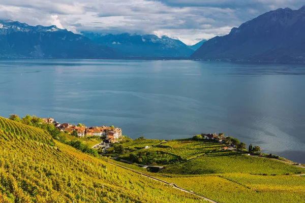 Lavaux, Zwitserland: Meer van Genève en het Zwitserse Alpen-landschap vanaf wijngaard Lavaux tarraces in het kanton Vaud Stockafbeelding