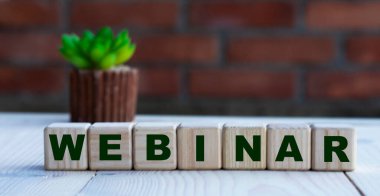 WEBINAR - Küpler üzerine bir kelime bir kaktüsle tuğla duvarın arka planına karşı. İş konsepti