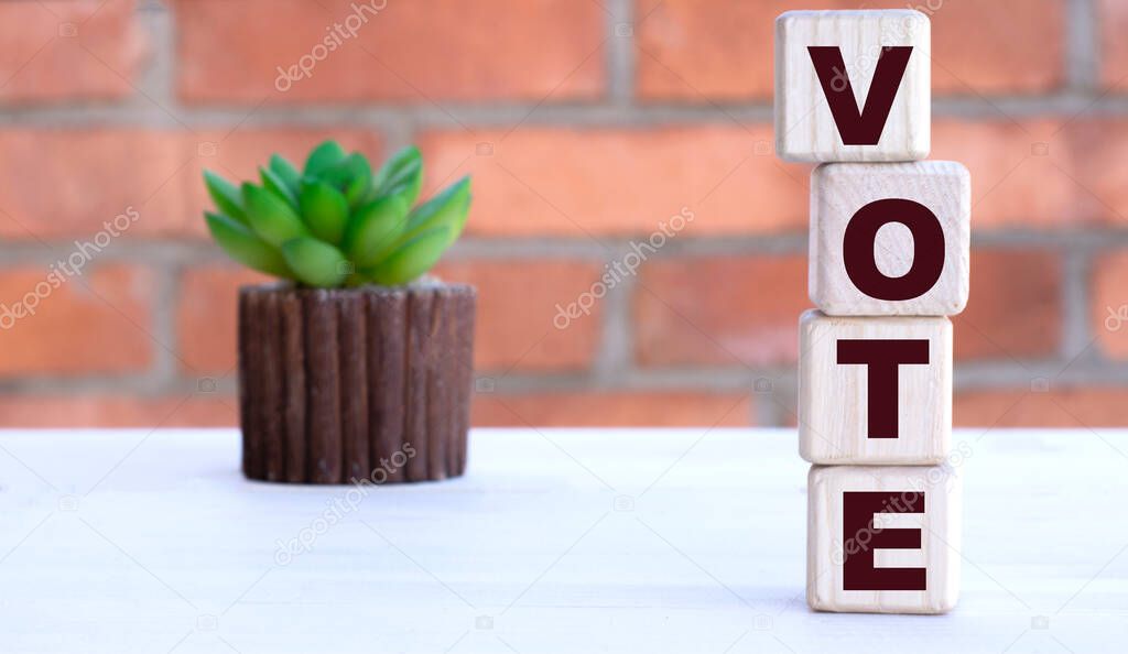 VOTE the word on cubes against the background of a brick wall with a cactus.