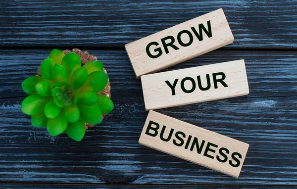 Grow Your Business Words Wooden Blocks Beautiful Dark Background Cactus — Stock Photo, Image