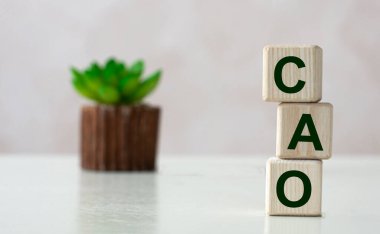 CAO (Merkezi Uygulama Ofisi) - bir kaktüs ile hafif arka planda tahta küplerin kısaltması. İş ve finans kavramı