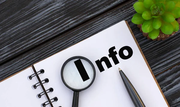 INFO. Not defterine bir büyüteç, kalem ve kaktüs ile yazılmış bir kelime. İş konsepti.