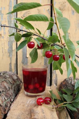 Kiraz filizli kiraz jölesi