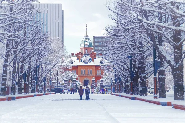 Бывшее Правительство Хоккайдо Зимой Саппоро Япония — стоковое фото