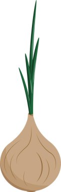 Menü veya tasarım için soğan düz illüstrasyonu