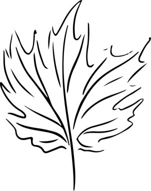 Sonbahar yapraklarının siyah ana hatları çizim simgeleri