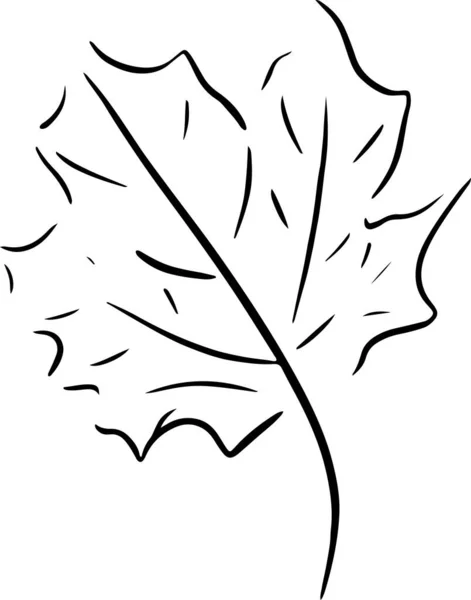 Czarny zarys jesiennych liści szkic ikony — Wektor stockowy