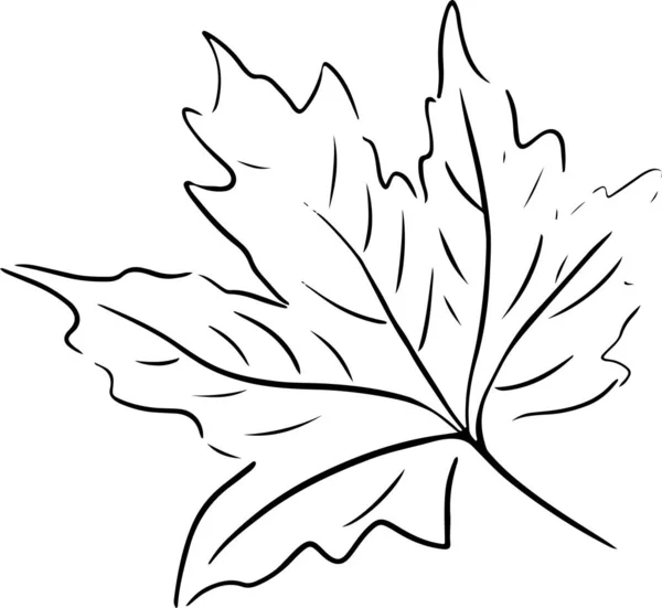 Μαύρο περίγραμμα του φθινοπώρου φύλλα εικονίδια σκίτσο — Διανυσματικό Αρχείο