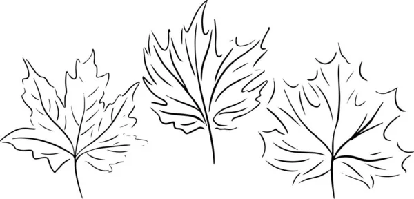Μαύρο περίγραμμα του φθινοπώρου φύλλα σκίτσο εικονίδια που — Διανυσματικό Αρχείο