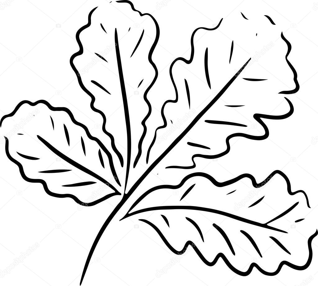 black outline of autumn leaves sketch icons