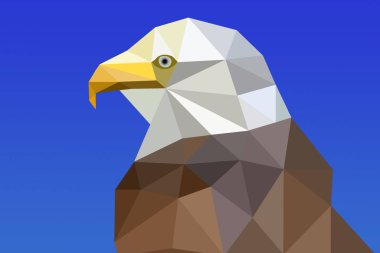 Origami 'de bir Amerikan kartalının portresi.