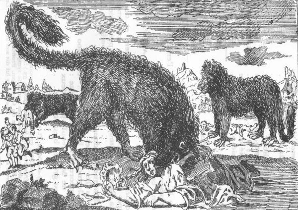 Engraving 18Th Century Book Showing Beast Gevaudan Who Hilled Young — Stock Photo, Image