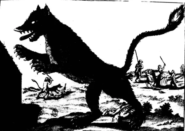 Engraving 18Th Century Book Showing Beast Gevaudan Standing Its Hind — Stock Photo, Image