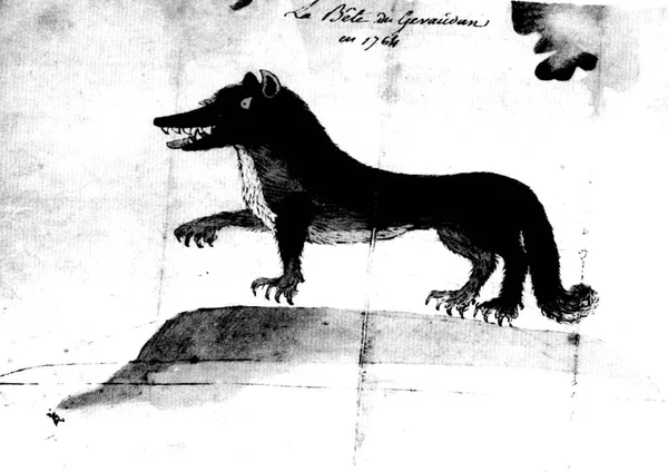 Engraving Beast Gevaudan 18Th Century Book — Stock Photo, Image