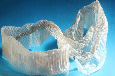 Mavi arka planda bir yılan derisi.