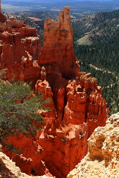 Una Vista Las Formaciones Tipo Hoodos Parque Nacional Bryce Canyon Imagen de archivo