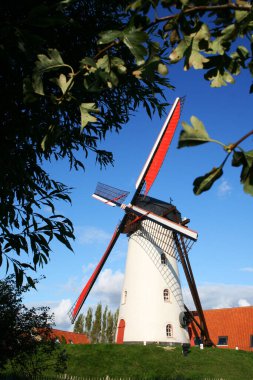 Hollanda 'da kırmızı kanatlı bir yel değirmeni