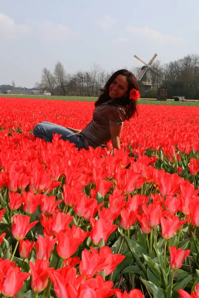 Молодая Женщина Поле Красных Тюльпанов Голландии — стоковое фото