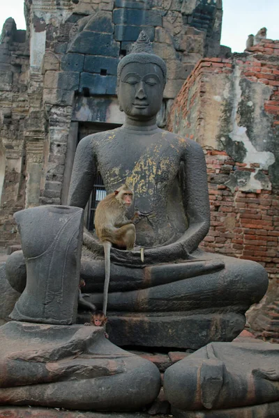 Egy Majom Szabadon Kószál Egy Buddha Szobron Lopburi Városában Thaiföldön — Stock Fotó