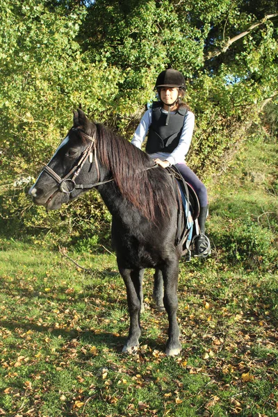 骑在马厩里的黑马上的小女孩 — 图库照片