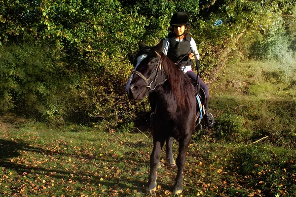 Young Girl Black Horse Riding Stable — Stock Photo, Image