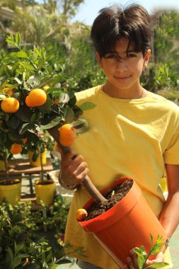 Fransa 'da bir bahçe merkezinde portakal ağacı alan genç bir kız.