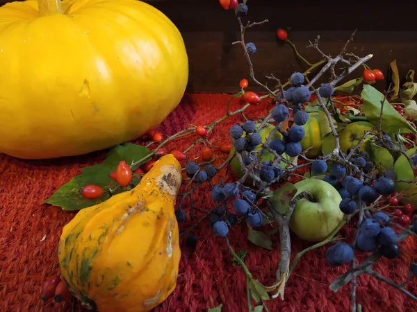 Autumn Still Life Table Made Pumpkin Blackthorn — Stock Photo, Image