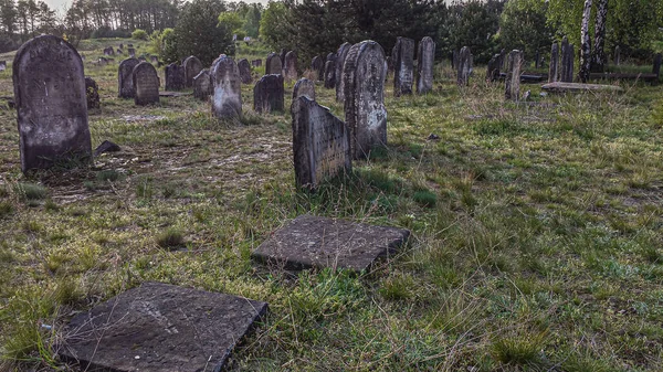 Stary Cmentarz Żydowski Dolnym Śląsku Polska — Zdjęcie stockowe