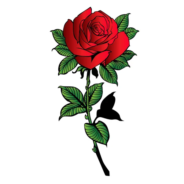 Rose Vecteur Fleur Rouge Dessin Animé Illustration — Image vectorielle