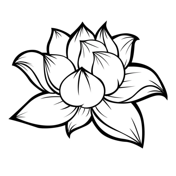 Lotus Fleur Vectoriel Silhouette Skech Tatoo Illustration Vectorielle — Image vectorielle