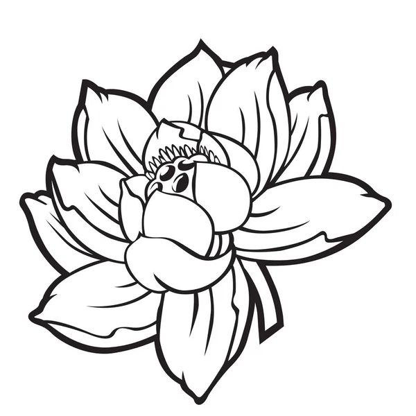 Lotus Fleur Vectoriel Silhouette Skech Tatoo Illustration Vectorielle — Image vectorielle