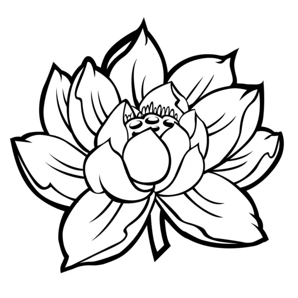 Lotus Fleur Nature Tatouage Skech Silhouette Illustration Vectorielle — Image vectorielle