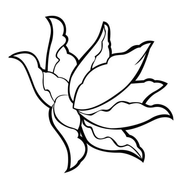 Risovannyj Eskiz Cvetok Lotosaストックベクター ロイヤリティフリーrisovannyj Eskiz Cvetok Lotosaイラスト ページ 2 Depositphotos