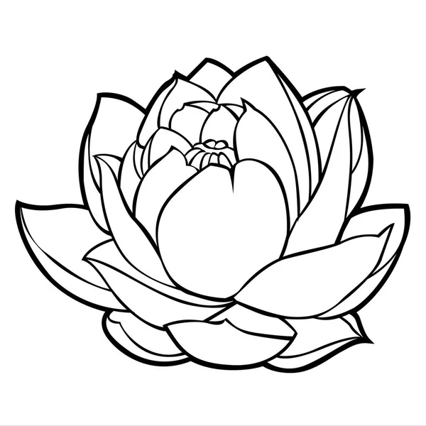 Lotus Fleur Nature Tatouage Skech Silhouette Illustration Vectorielle — Image vectorielle