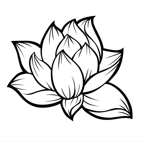 Lotus Fleur Nature Tatouage Skech Silhouette Illustration Vectorielle — Image vectorielle
