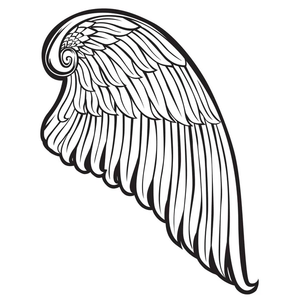 Flügel Vogel Schwarz Weiß Vogelflügel Federn Vector Illustrator — Stockvektor
