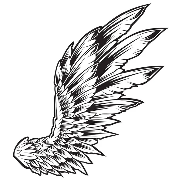 Ailes Oiseau Ailes Oiseau Noir Blanc Plumes Vector Illustrator — Image vectorielle