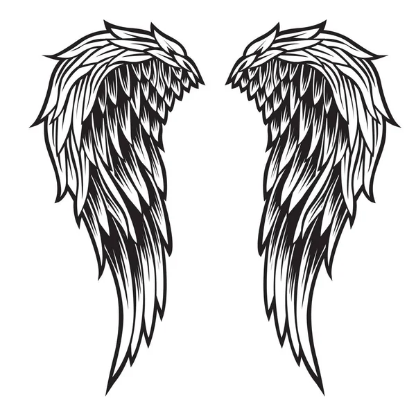 Wings Bird Black White Bird Wings Feathers Vector Illustrator — Stock Vector